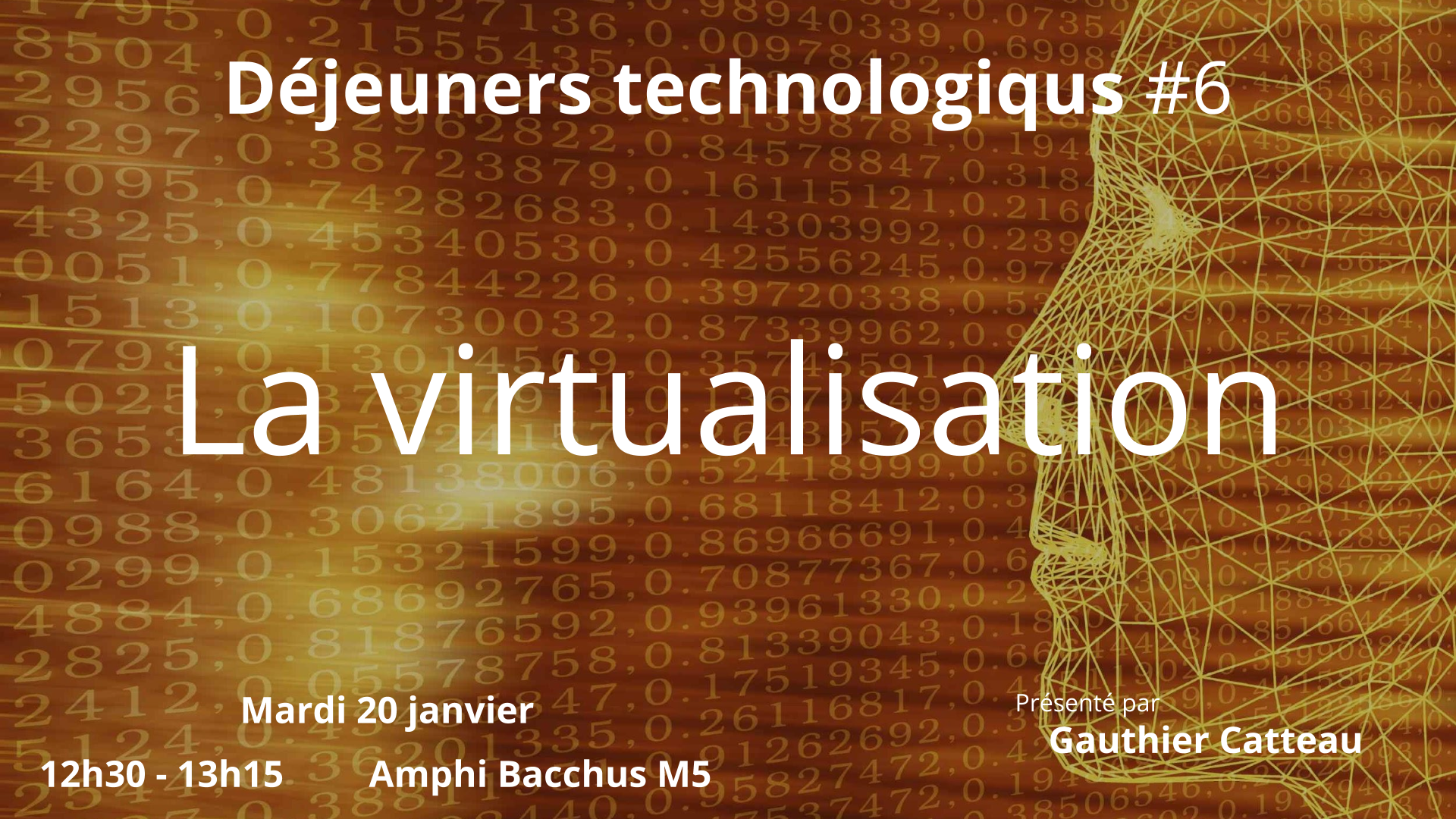 La virtualisation